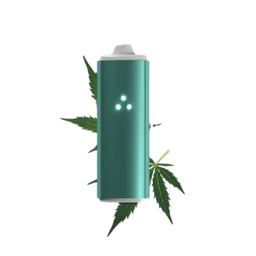 Vapes category