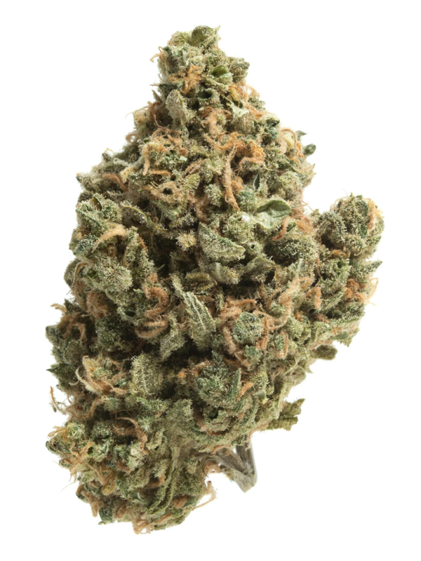 Golden Garden  | London Poundcake | Pre Roll | 1g